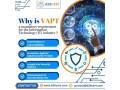 vapt-certification-in-kuwait-small-0