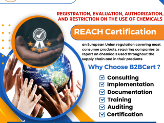 REACH Certification Services in Dallas